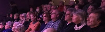 Audience at a performance